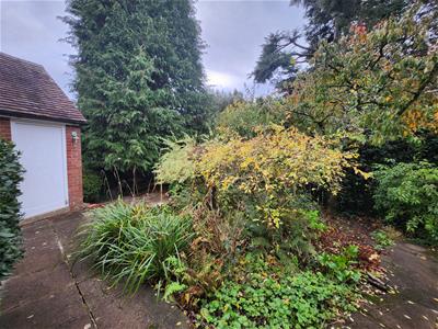 Picture 24